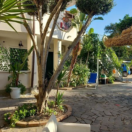 Appartamenti Tropea Gargano 帕尔盖利亚 外观 照片