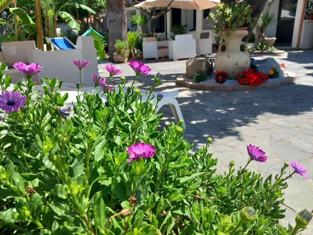 Appartamenti Tropea Gargano 帕尔盖利亚 外观 照片