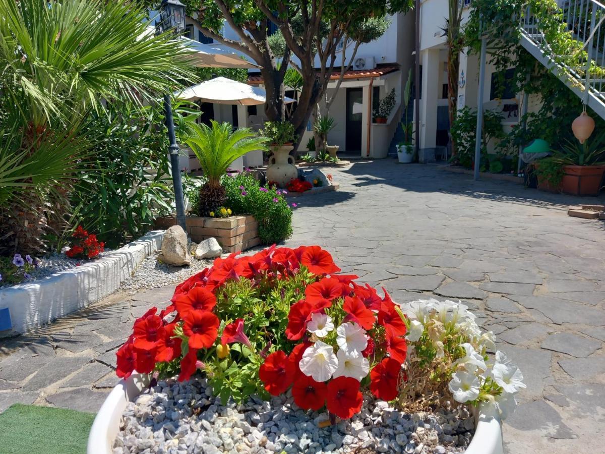 Appartamenti Tropea Gargano 帕尔盖利亚 外观 照片